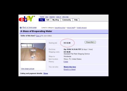 This must be the wildest eBay Auction EVER!