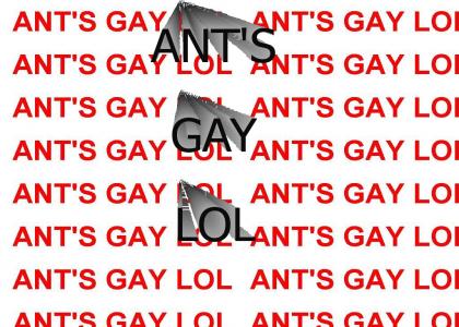 ANT'S GAY LOL