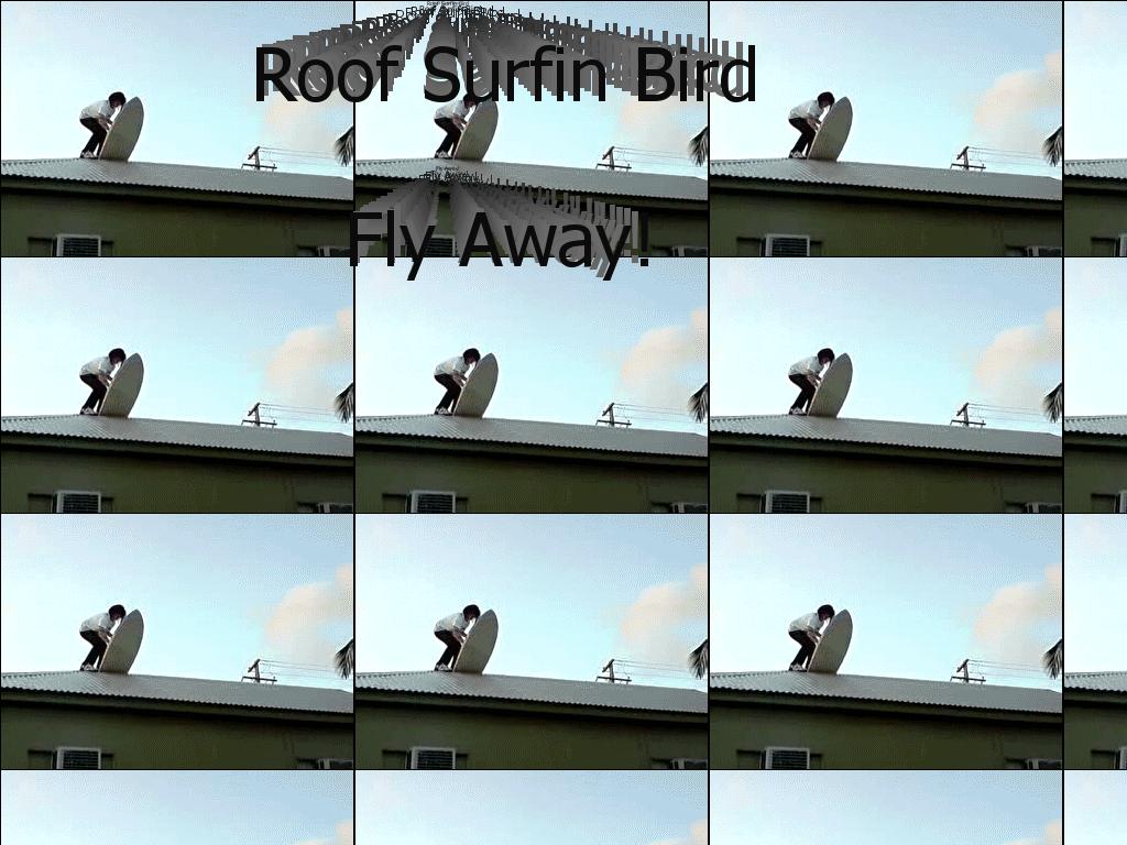 surfinbirdfly