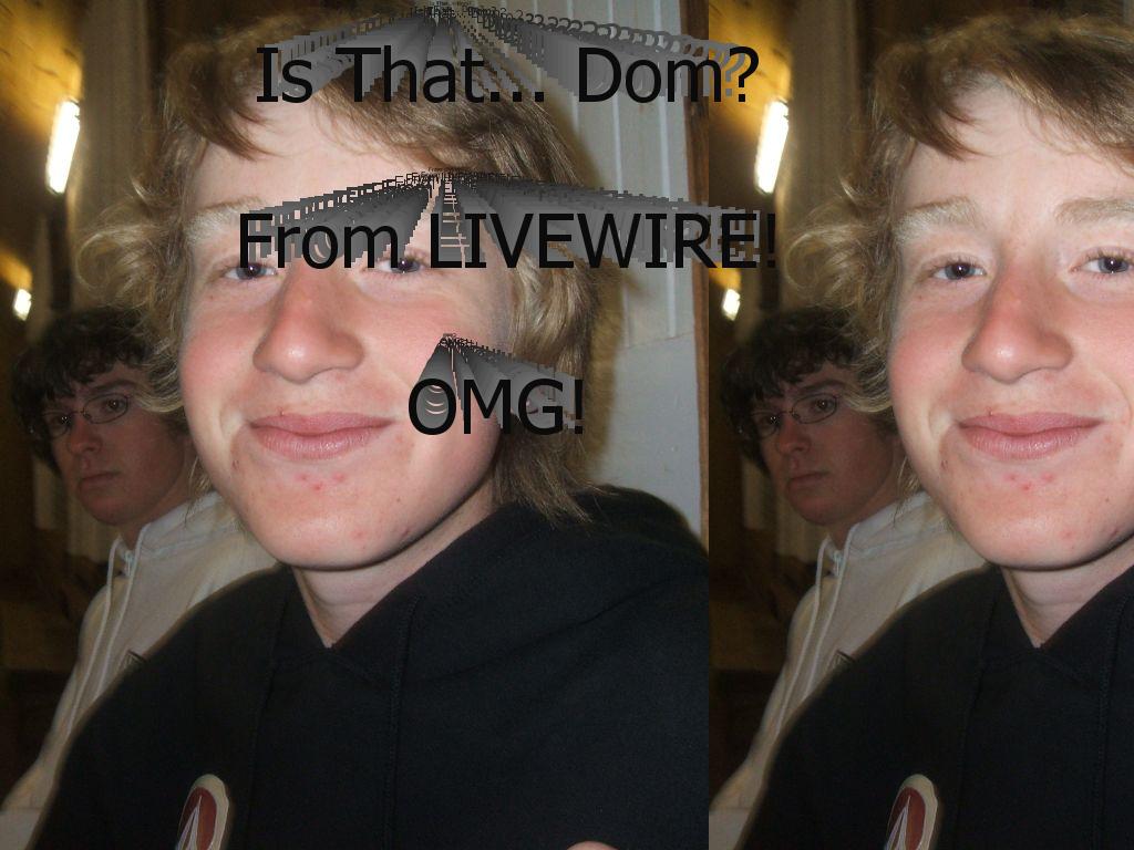 domfromlivewire