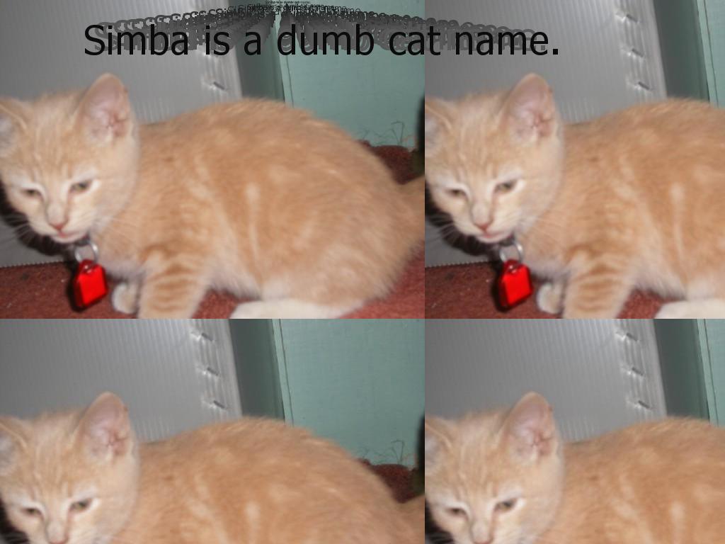 dumbcatname