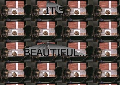 HOW AMERICAN BEAUTY COULD HAVE BEEN BETTER