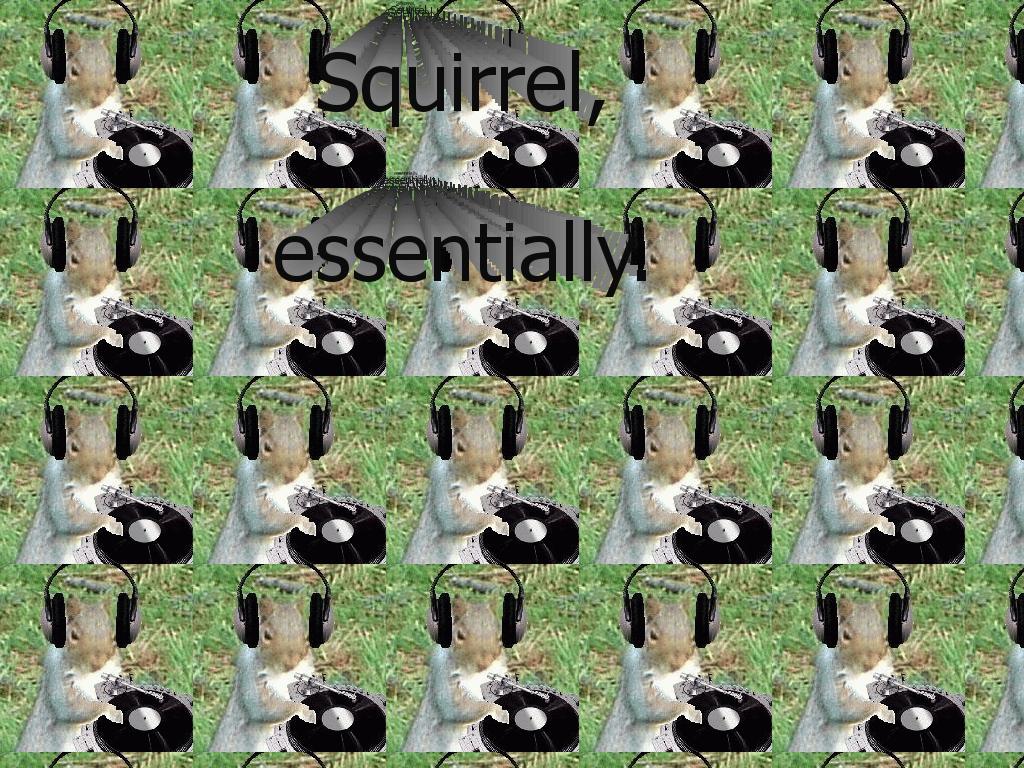 Squizzel