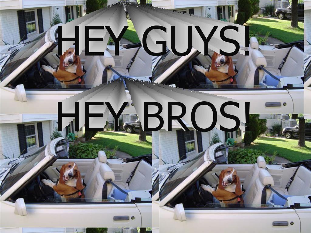 heybros