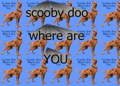 Scooby Doo