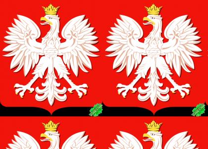 YESYES: Secret Islamic Poland