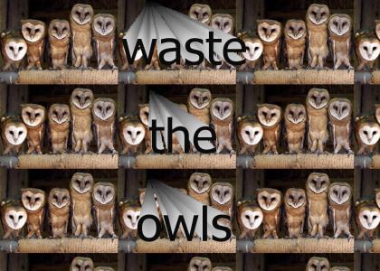 waste the owls