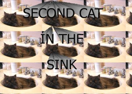 SECOND CAT IN THE SINK