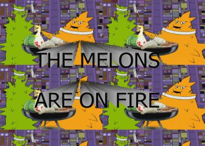 THE MELONS ARE ON FIRE