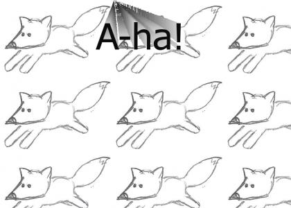 A-ha Fox