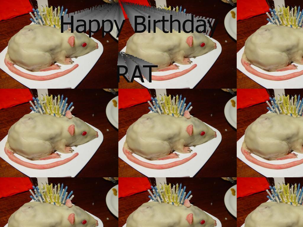 birthdayrat