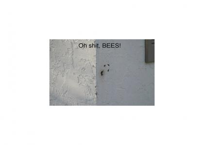 War on Bees