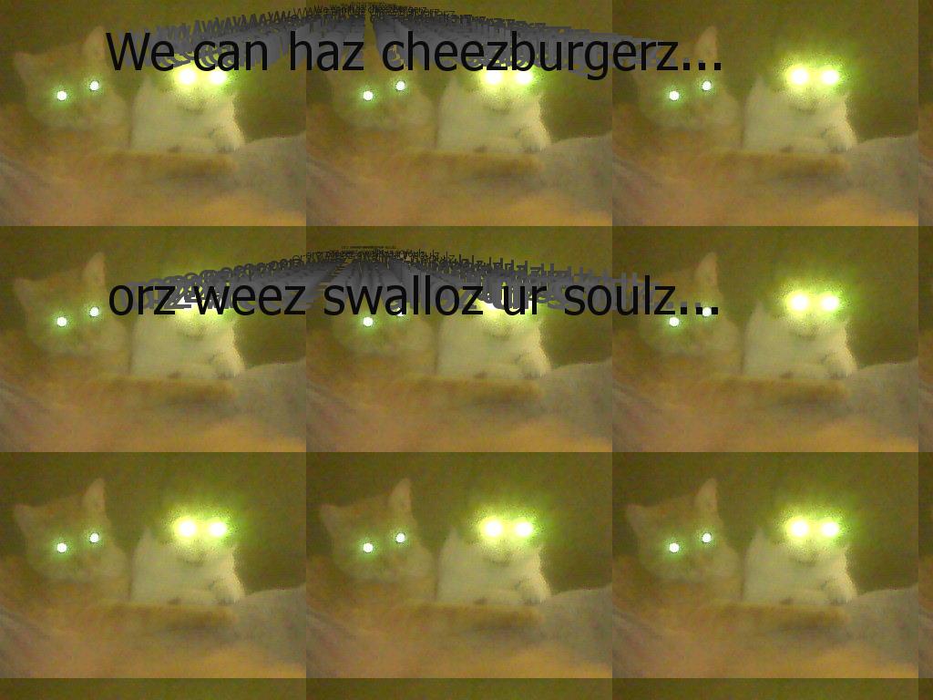 cheezburgerdemoncats