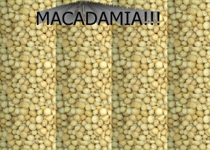 Macadamia!