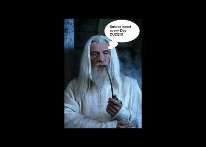 Gandalf Smokes Weed Everyday