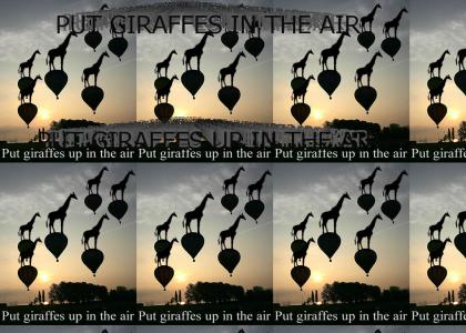 Giraffes in the Air
