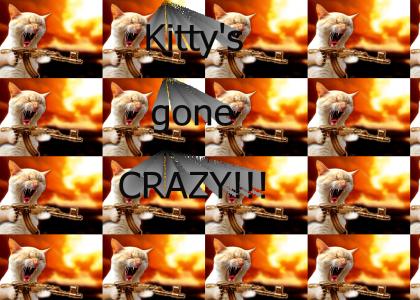 Kitty has gone crazy!!!