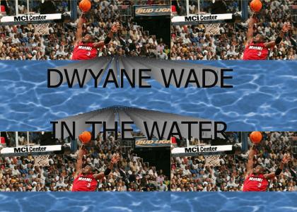 wade in the water