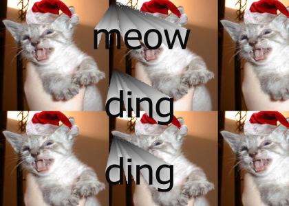 Kitten sings Chirstmas carol