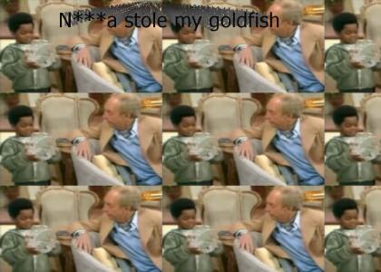 Gary colemans black goldfish