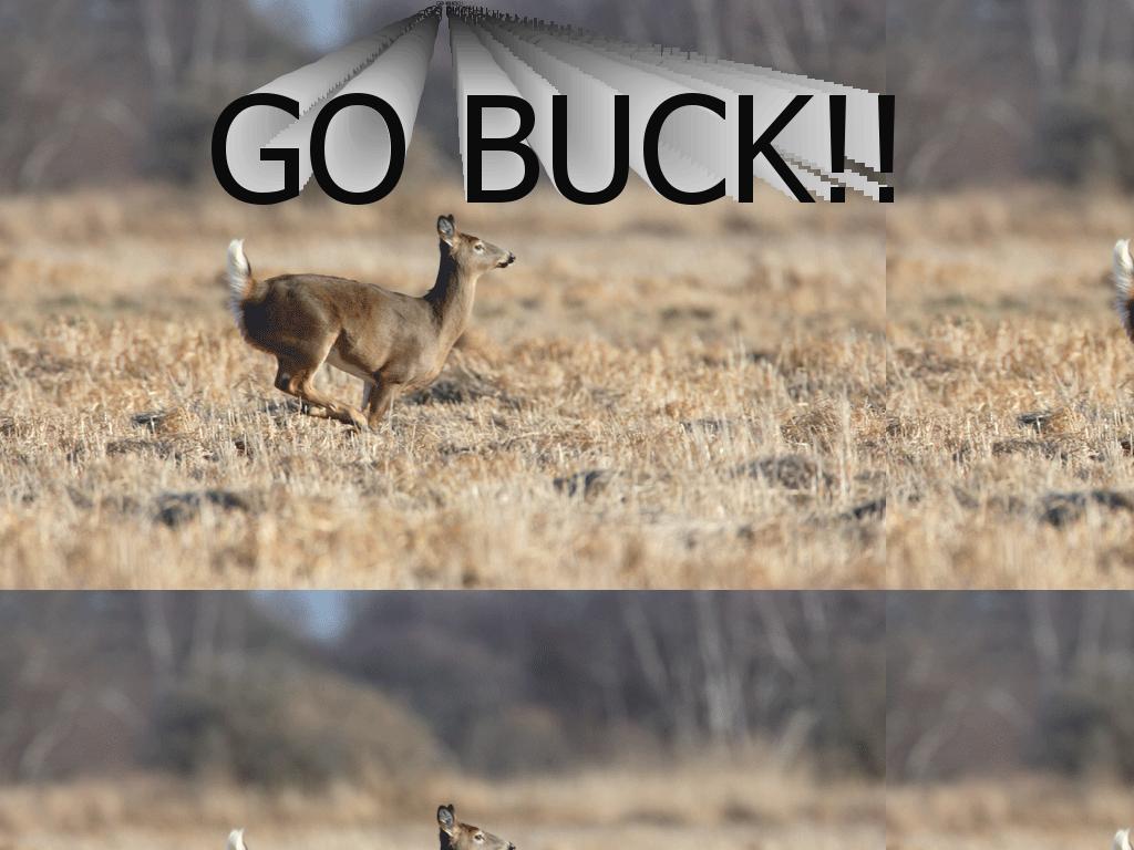 gobuck