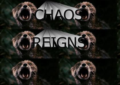 Chaos reigns