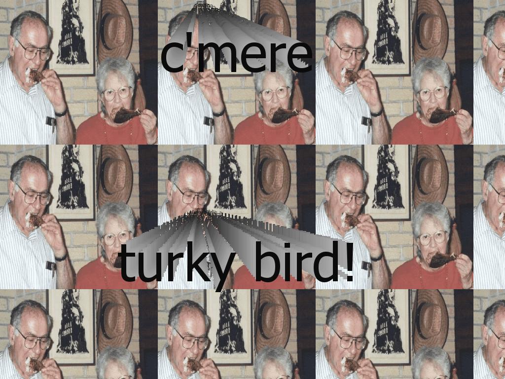 cmereturkybird