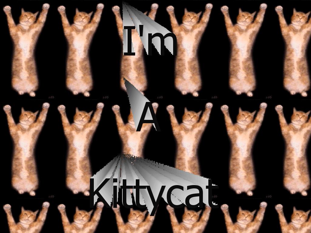 kittycat