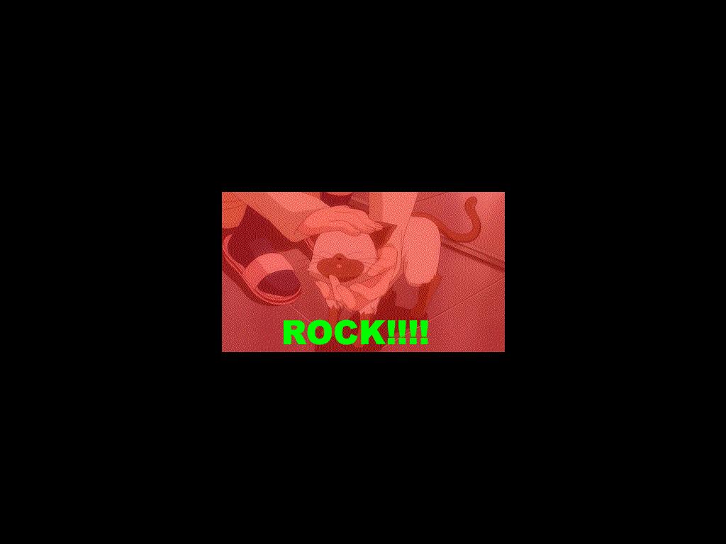 rockincat