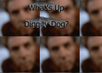 So What's Up, Diggity Dog?