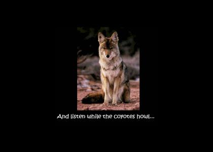 Coyote Singalong: Woo-Yup (Refresh in FF)