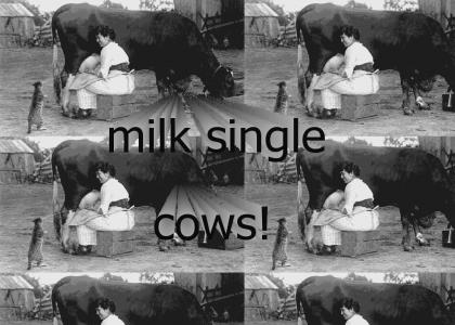 milk single cows! (Heut ist mein Tag)