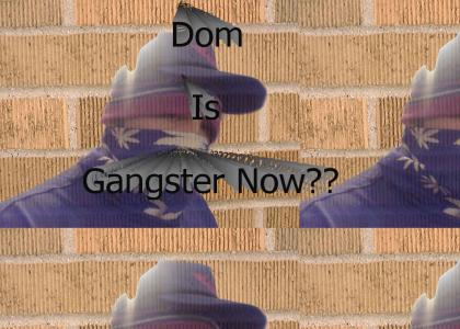 Dom Is Gangster