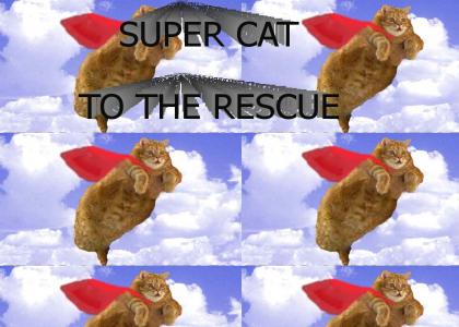 SUPER CAT