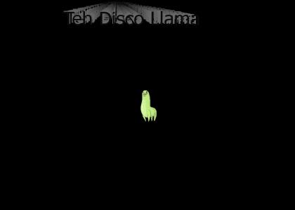 Disco Llama Showdown