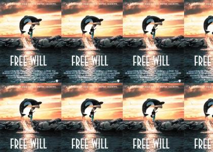 Free Will