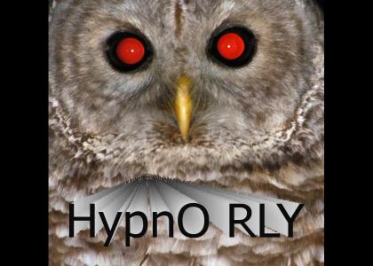 Hypnorly