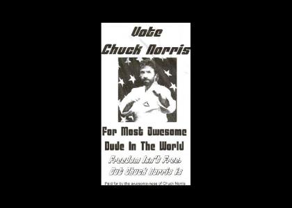 Vote Chuck Norris