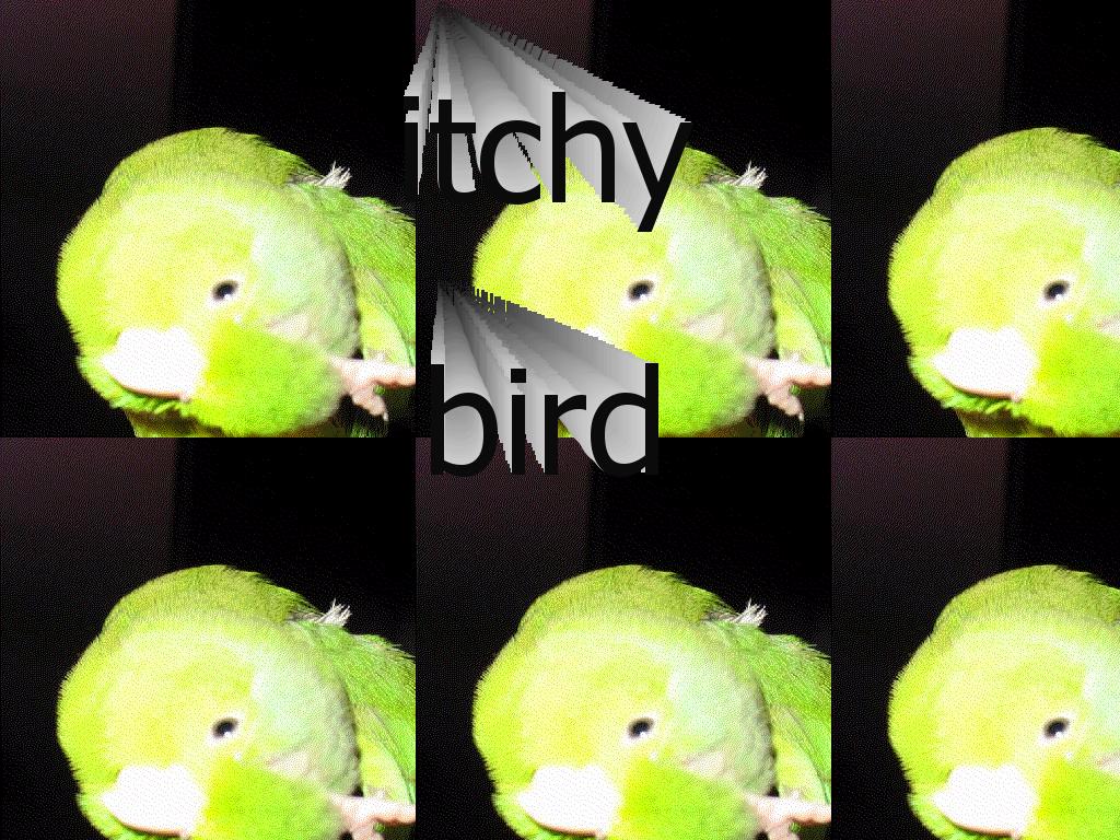 itchybird