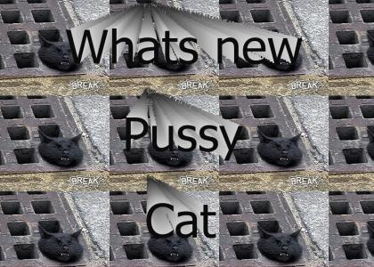 Whats new pussy cat