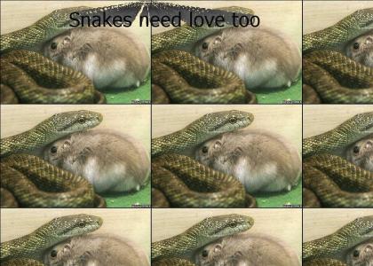 Snakey Love