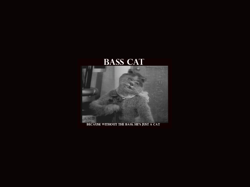 Basscatquestion