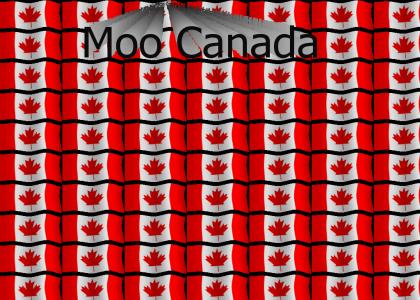 Moo Canada