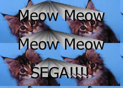Meow Meow Meow Meow