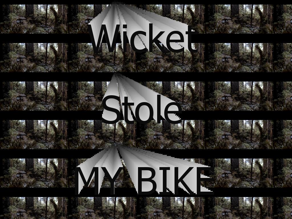 WicketStolemybike