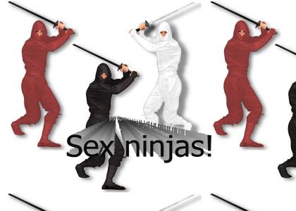Sex ninjas