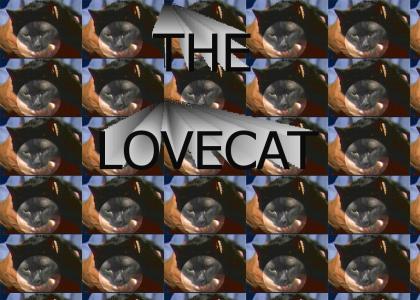 the lovecat