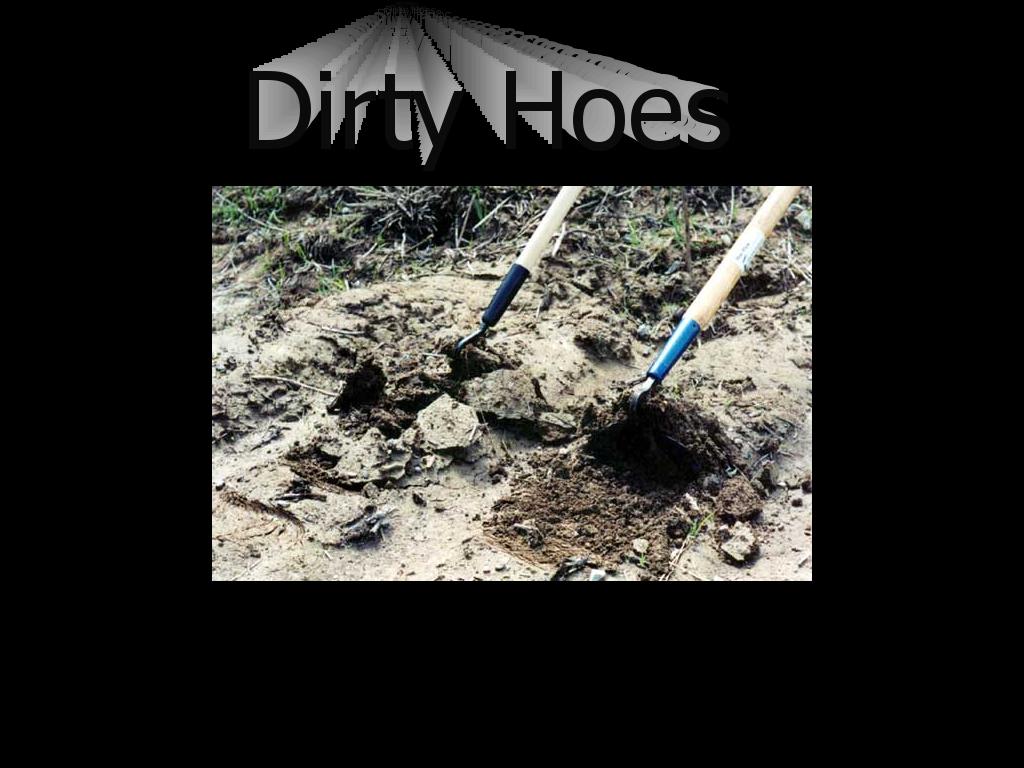 dirtyhoes