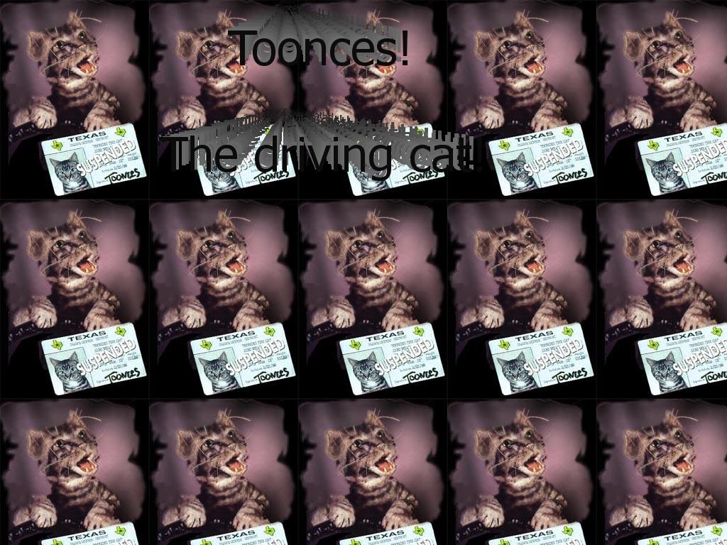 toonces