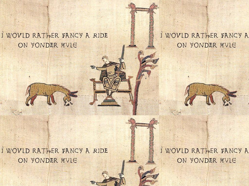 medievaldonkeyride